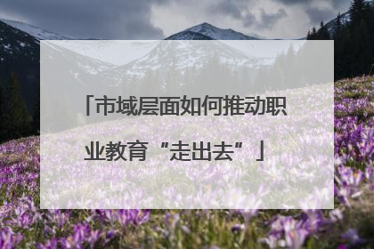 市域层面如何推动职业教育“走出去”