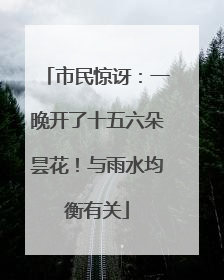 市民惊讶：一晚开了十五六朵昙花！与雨水均衡有关