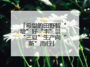 希望的田野智“绘”好“丰”景 “三夏”生产向“新”而行
