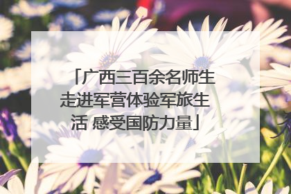 广西三百余名师生走进军营体验军旅生活 感受国防力量