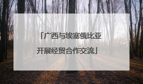 广西与埃塞俄比亚开展经贸合作交流