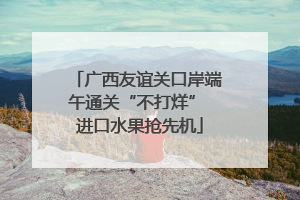 广西友谊关口岸端午通关“不打烊” 进口水果抢先机