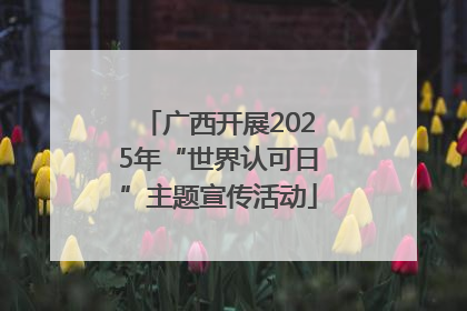 广西开展2025年“世界认可日”主题宣传活动