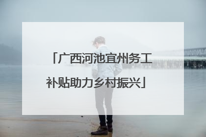 广西河池宜州务工补贴助力乡村振兴