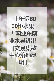 年运8000柜水果！南亚东南亚水果进出口交易集散中心落地昆明