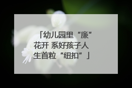 幼儿园里“廉”花开 系好孩子人生首粒“纽扣”