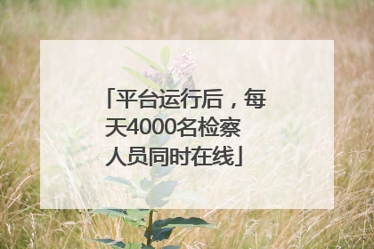 平台运行后，每天4000名检察人员同时在线