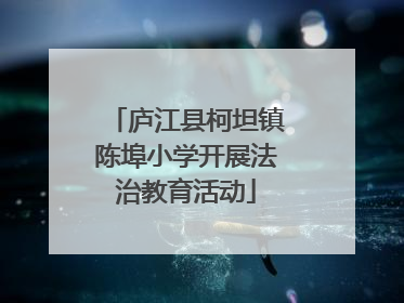 庐江县柯坦镇陈埠小学开展法治教育活动