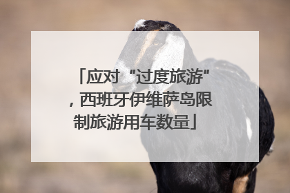 应对“过度旅游”，西班牙伊维萨岛限制旅游用车数量
