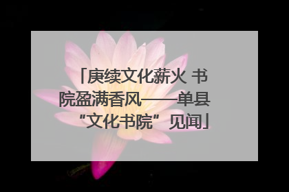 庚续文化薪火 书院盈满香风——单县“文化书院”见闻
