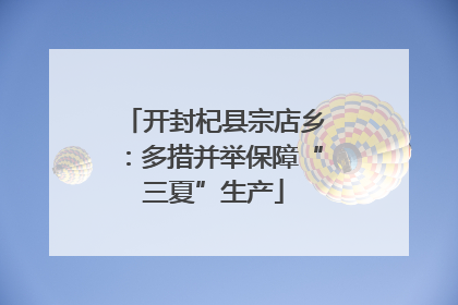 开封杞县宗店乡：多措并举保障“三夏”生产