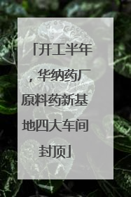 开工半年，华纳药厂原料药新基地四大车间封顶