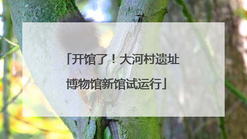 开馆了！大河村遗址博物馆新馆试运行