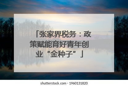 张家界税务：政策赋能育好青年创业“金种子”