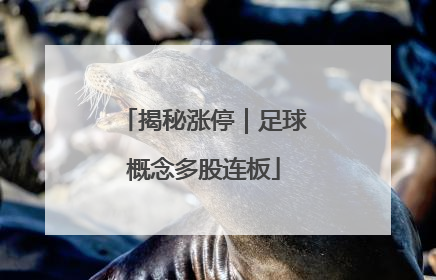 揭秘涨停｜足球概念多股连板