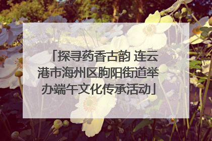 探寻药香古韵 连云港市海州区朐阳街道举办端午文化传承活动