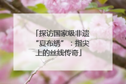 探访国家级非遗“夏布绣”：指尖上的丝线传奇
