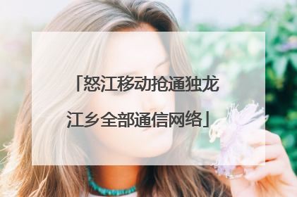 怒江移动抢通独龙江乡全部通信网络