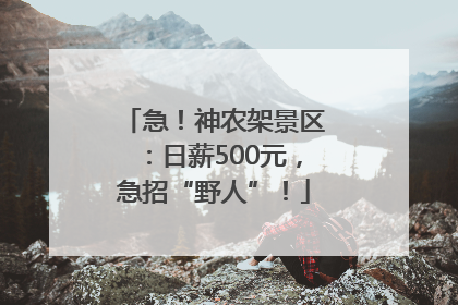 急！神农架景区：日薪500元，急招“野人”！