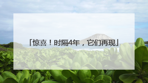 惊喜！时隔4年，它们再现