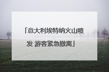 意大利埃特纳火山喷发 游客紧急撤离