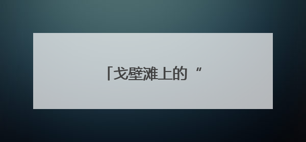 戈壁滩上的“绿电逐光人”
