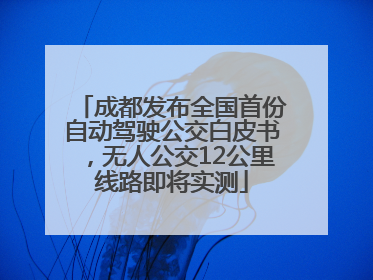 成都发布全国首份自动驾驶公交白皮书，无人公交12公里线路即将实测