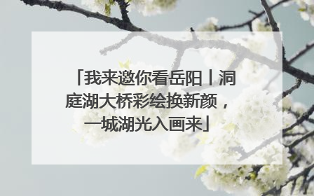 我来邀你看岳阳丨洞庭湖大桥彩绘换新颜，一城湖光入画来