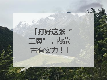打好这张“王牌”，内蒙古有实力！