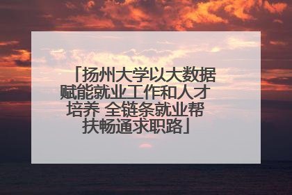 扬州大学以大数据赋能就业工作和人才培养 全链条就业帮扶畅通求职路