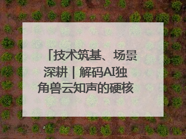 技术筑基、场景深耕｜解码AI独角兽云知声的硬核实力版图