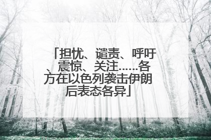 担忧、谴责、呼吁、震惊、关注……各方在以色列袭击伊朗后表态各异