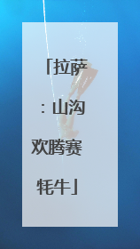 拉萨：山沟欢腾赛牦牛