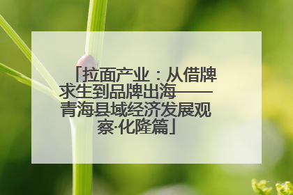 拉面产业：从借牌求生到品牌出海——青海县域经济发展观察·化隆篇