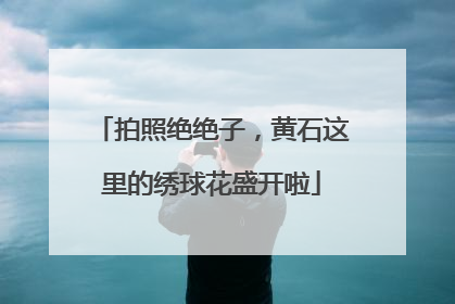 拍照绝绝子，黄石这里的绣球花盛开啦