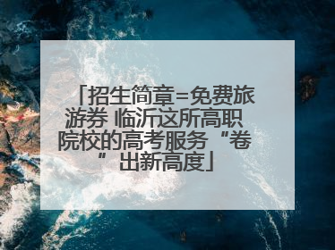 招生简章=免费旅游券 临沂这所高职院校的高考服务“卷”出新高度