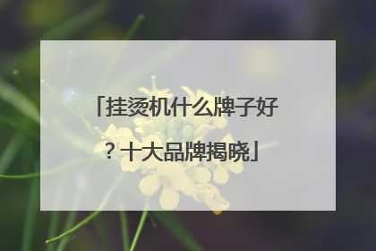 挂烫机什么牌子好？十大品牌揭晓