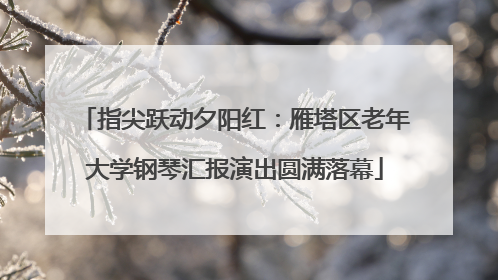 指尖跃动夕阳红：雁塔区老年大学钢琴汇报演出圆满落幕
