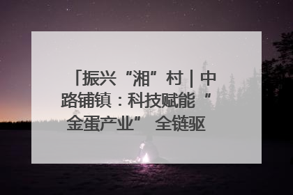 振兴“湘”村｜中路铺镇：科技赋能“金蛋产业” 全链驱动乡村振兴