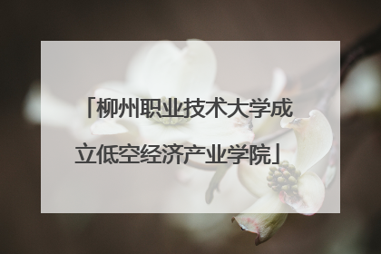 柳州职业技术大学成立低空经济产业学院