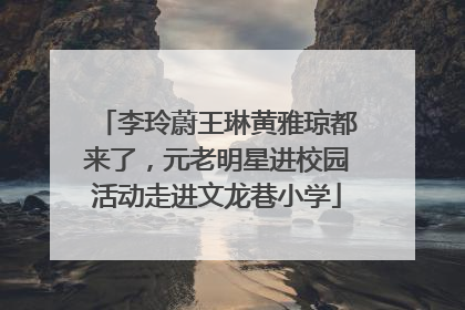 李玲蔚王琳黄雅琼都来了，元老明星进校园活动走进文龙巷小学
