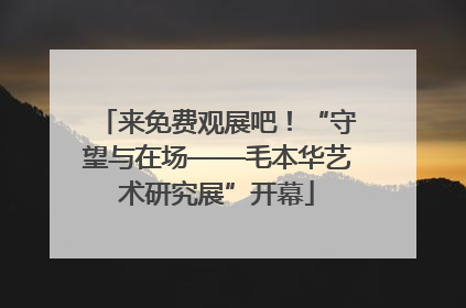 来免费观展吧！“守望与在场——毛本华艺术研究展”开幕