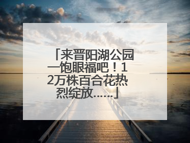 来晋阳湖公园一饱眼福吧！12万株百合花热烈绽放……