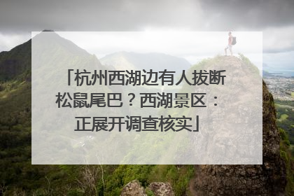 杭州西湖边有人拔断松鼠尾巴？西湖景区：正展开调查核实