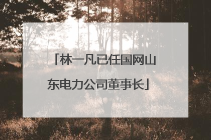 林一凡已任国网山东电力公司董事长