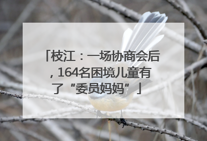 枝江：一场协商会后，164名困境儿童有了“委员妈妈”