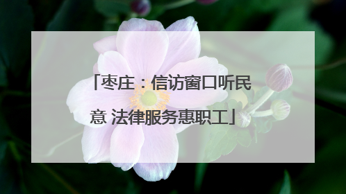 枣庄：信访窗口听民意 法律服务惠职工