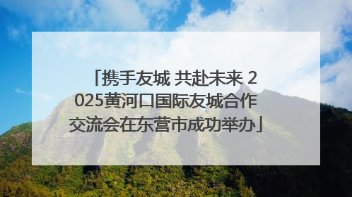 携手友城 共赴未来 2025黄河口国际友城合作交流会在东营市成功举办