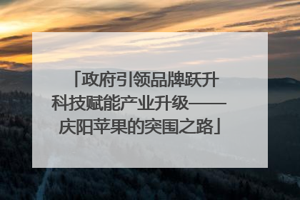 政府引领品牌跃升 科技赋能产业升级——庆阳苹果的突围之路