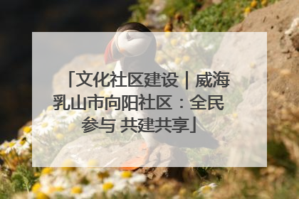 文化社区建设｜威海乳山市向阳社区：全民参与 共建共享